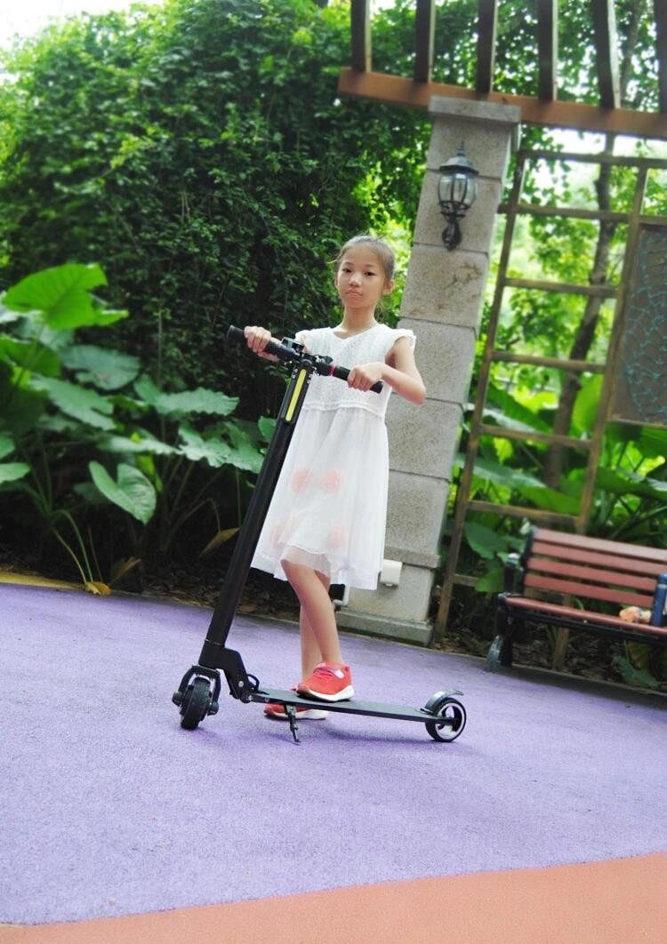 Ready Ship Newest 24V 250W Electric Skateboard Popular E Skateboard on Sale