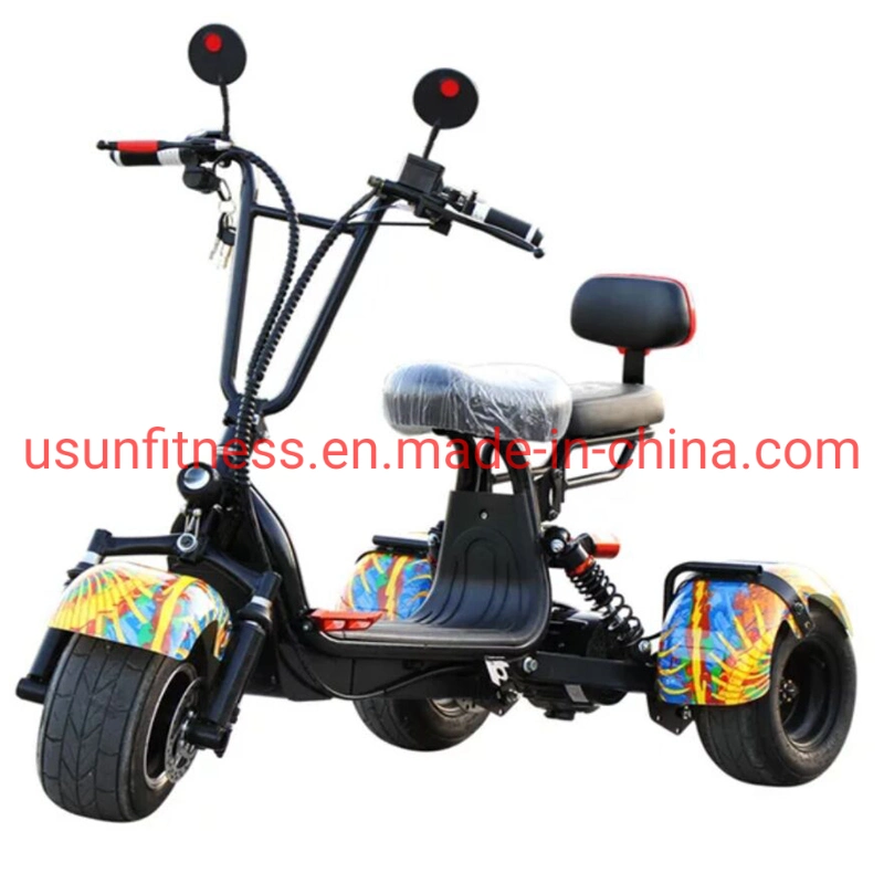 3 Wheels Electric Motorcycles/Tricycle/Trike/Scooter for Kids and Adult