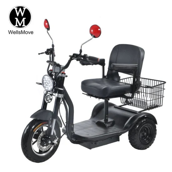 Scooter électrique différentiel de trike de batterie au lithium de l'adulte 600W 48V 20A