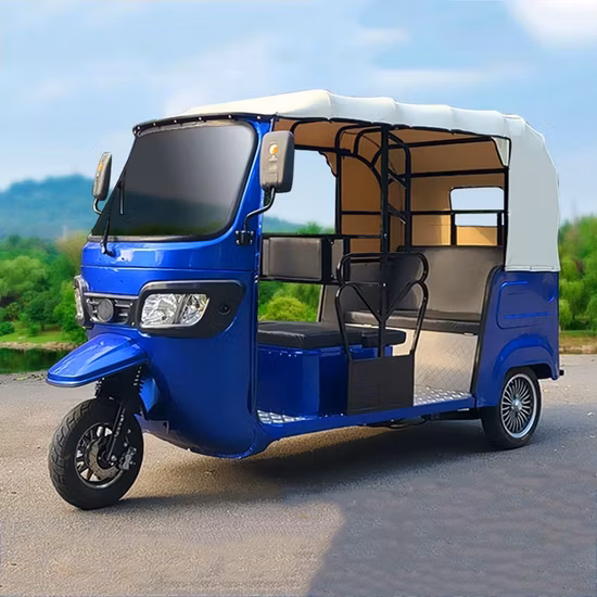 Nouveau Bajaj Tricycle électrique à trois roues 3 roues E Trike 3 adultes de roue